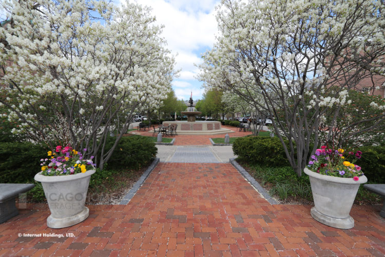 Downtown Lake Forest image